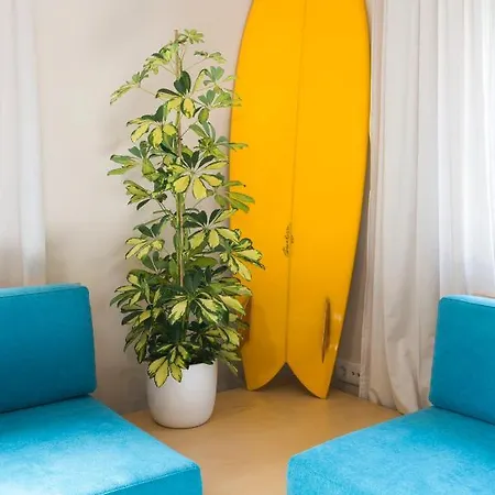 Surf House Porto